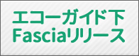 エコーガイド下Fascia(ファシア)ハイドロリリース