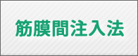 筋膜間注入法